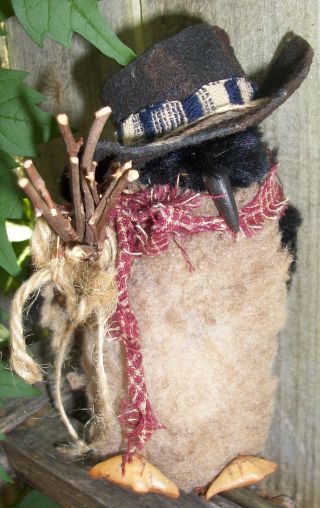 Primitive Looking,  Fluffy Penguin Wearing Hat photo