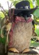Primitive Looking,  Fluffy Penguin Wearing Hat Primitives photo 1
