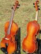 Fine Antique Czech Violin - L.  Herclik 1925.  Setup,  Strong Sound. String photo 10