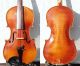 Fine Antique Czech Violin - L.  Herclik 1925.  Setup,  Strong Sound. String photo 1