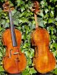 Antique Violin Labelled ' Gobetti '.  Attractive Tone. String photo 1