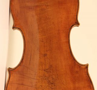 300 Years Old Italian Violin Genoa C.  1750 Cordano Geige Violine Violon photo