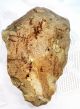 Neanderthal Hand Axe Flint Stone Paleolithic Artifact Neolithic & Paleolithic photo 1