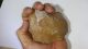 Neanderthal Biface Hand Axe Flint Stone Paleolithic Artifact Neolithic & Paleolithic photo 3