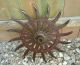 John Deere Spiked Metal Hoe/cultivator Wheel Lawn Garden Industrial Steampunk Primitives photo 2