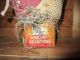 Primitive Quilted Chicken Make - Do - Rusty Poultry Seasoning Tin Primitives photo 1