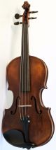 Old French Violin Labeled Bassot Geige Violon Violine Violino Appr.  1800 String photo 1