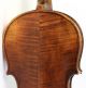 Old French Violin Labeled Bassot Geige Violon Violine Violino Appr.  1800 String photo 6