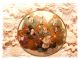 Exquisite Antique Satsuma Huge 2 