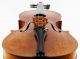 Antique Italian Nicolaus Amatus Labeled 4/4 Old Master Violin String photo 4