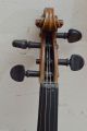 Antique German Violin One Piece Slab Cut Back String photo 4
