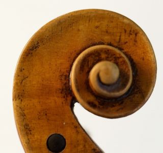 Old.  Violin Labeled L.  Bisiach Geige Violon Violine Violino Viola Fiddle photo