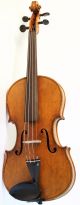 Old.  Violin Labeled L.  Bisiach Geige Violon Violine Violino Viola Fiddle String photo 1