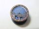 Antique - Victorian Brass Picture Button - Blue Sky & Vine Draped Fence - 9/16 