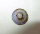 Antique - Victorian Brass Picture Button - Blue Sky & Vine Draped Fence - 9/16 