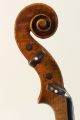 Antique 4/4 Violin J.  F.  Pressenda 1828 Label Old Geige Violon String photo 5