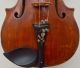 Antique American Violin R.  D.  Noyes Cleveland 1909 1 Piece Back W/stakes 1 Day String photo 3