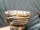 Rare & Authentic Mother Goddess Idol,  (bulgaria) Neolithic & Paleolithic photo 4