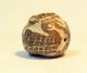 Pre - Columbian Brown Swimming Bird Group Bead.  Guaranteed.  Authentic The Americas photo 2