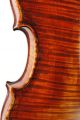Exceptional Antique Violin,  Ernst Heinrich Roth,  Model Xi - R,  1925 String photo 11