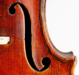 Exceptional Antique Violin,  Ernst Heinrich Roth,  Model Xi - R,  1925 photo