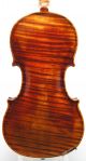 Exceptional Antique Violin,  Ernst Heinrich Roth,  Model Xi - R,  1925 String photo 2