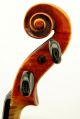 Exceptional Antique Violin,  Ernst Heinrich Roth,  Model Xi - R,  1925 String photo 3