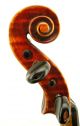 Exceptional Antique Violin,  Ernst Heinrich Roth,  Model Xi - R,  1925 String photo 4