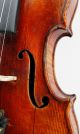 Exceptional Antique Violin,  Ernst Heinrich Roth,  Model Xi - R,  1925 String photo 8