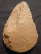 A Giant Million Year Old Acheulean Hand Axe From Early Stone Age Morocco 1581g Neolithic & Paleolithic photo 10