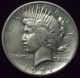 1921 Silver Peace Dollar Rare Key Date High Relief Xf Detailing Authentic The Americas photo 2