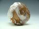 Fantastic Hagi Kurinuki Guinomi Cup By Kaneta Masanao Bowls photo 4