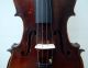 Fine Old Antique German Fullsize 4/4 Violin - Labeled Scarampella - Around 1900 String photo 1