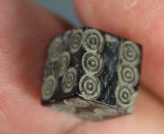 Dice,  Black Stone,  Play,  Game,  Fortune,  Roman Imperial,  1st To 4th Century A.  D. photo