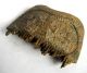 Scarce C.  1100 A.  D British Found Medieval Crusades Period Bone Cosmetic Comb.  Vf British photo 1