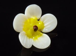 (1) 17mm Vtg Victorian Venetian Lampwork Realistic Yellow Glass Flower Button photo