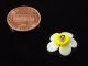 (1) 17mm Vtg Victorian Venetian Lampwork Realistic Yellow Glass Flower Button Buttons photo 1