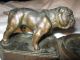 Antique Nuart American U.  S.  Bull Dog Smoking Art Statue Sculpture Ashtray Tray Metalware photo 3