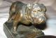 Antique Nuart American U.  S.  Bull Dog Smoking Art Statue Sculpture Ashtray Tray Metalware photo 4