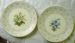 2 Minton Botanical Floral Plates Bailey Biddle & Banks photo