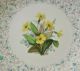 2 Minton Botanical Floral Plates Bailey Biddle & Banks Plates & Chargers photo 4