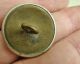 C.  1890 Kingston Upon Hull,  Uk Ambulance Service Button 25mm No Backmark Buttons photo 1