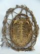 Early Png Real Turtle Shell Rattan Feather Mask - Chambri Lakes Papua Guinea Pacific Islands & Oceania photo 1
