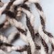 Primitive Money/trade Australian Aboriginal Human Hair String 3 Metre Ex Lawsons Pacific Islands & Oceania photo 1