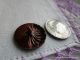 1994 - S – Brass Stylized Peacock Antique Button W Faceted Cut Steel Feathers Buttons photo 2
