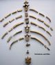 Complete Lucy Find - Australopithecus Afarensis,  3.  2 Mil.  Years - Replica Neolithic & Paleolithic photo 5