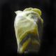 Hand Carved Natural Dushan Jade Statue - - - Lotus& Fish 3 Other Antique Chinese Statues photo 3