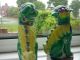 Fantastic Yellow/green Chinese Foo Dogs Stamped To The Base Ornaments photo 4