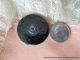 1710 – Stunning & Perfect Iridescent Black Glass Insect Motif Antique Button Buttons photo 2