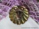 1710 – Stunning & Perfect Iridescent Black Glass Insect Motif Antique Button Buttons photo 3